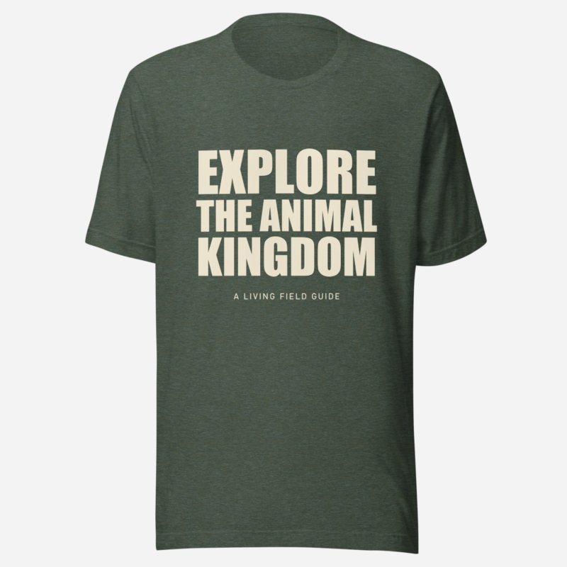 Animal Viewology Explore Tee in Heather Forest