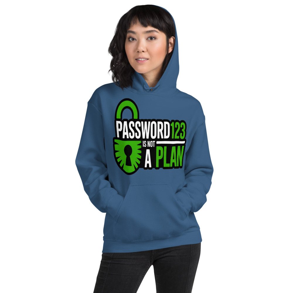 Cybersecurity Geniuses Password123 Is Not A Plan Hoodie