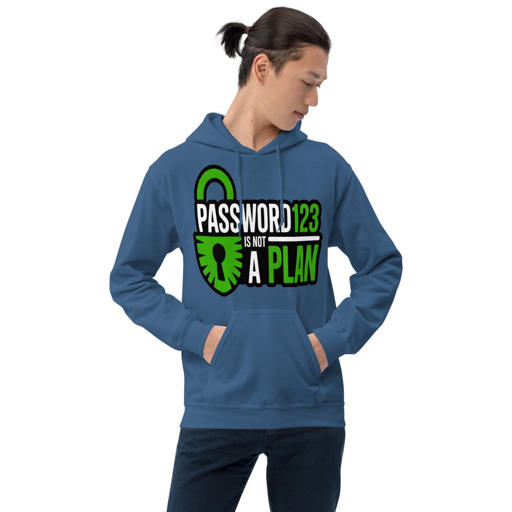 Cybersecurity Geniuses Password123 Is Not A Plan Hoodie Front