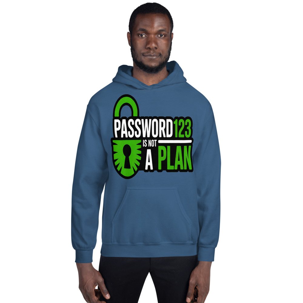 Cybersecurity Geniuses Password123 Is Not A Plan Hoodie Front