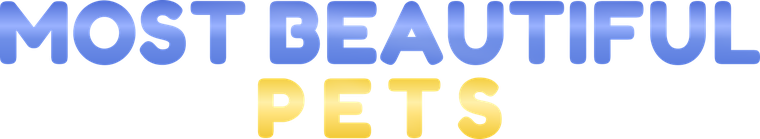 Most Beautiful Pets logo