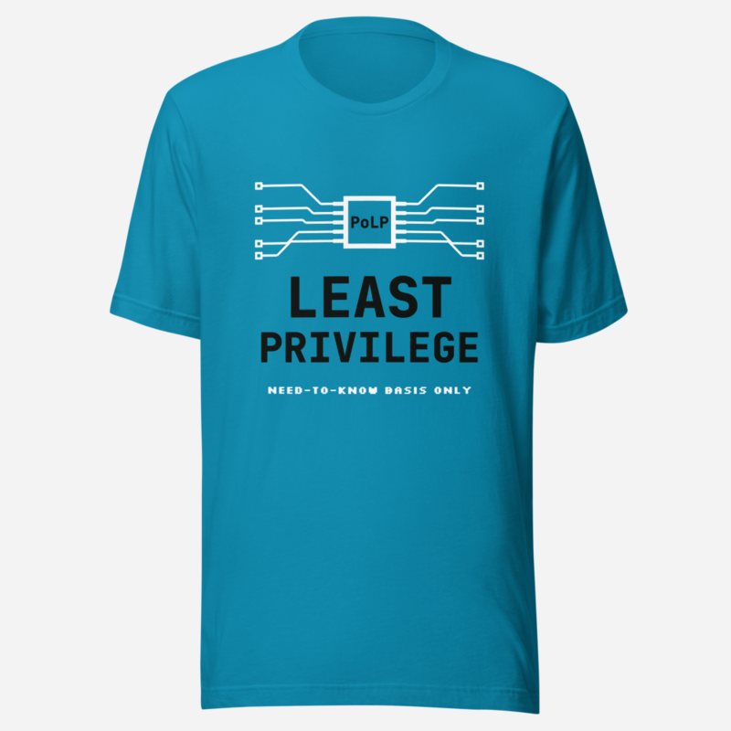 Cybersecurity Geniuses Least Privilege Tee in Aqua
