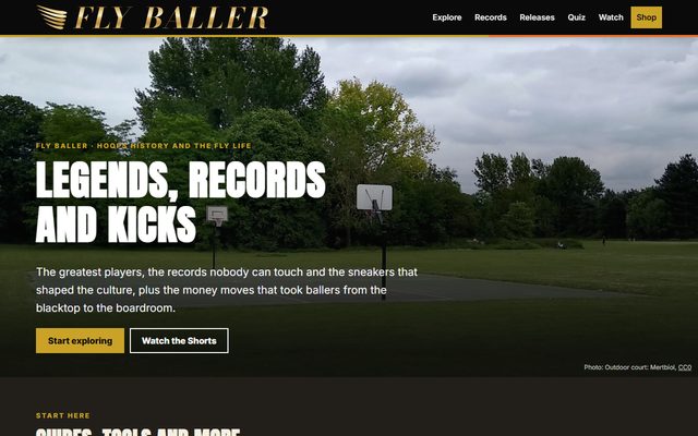 flyballer.com website