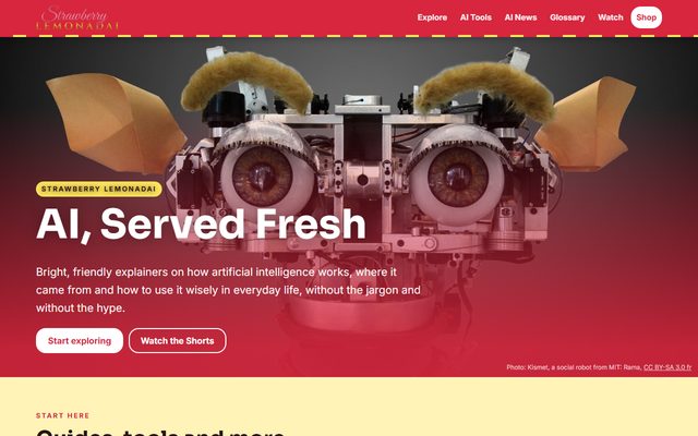 fireempireshop.com website
