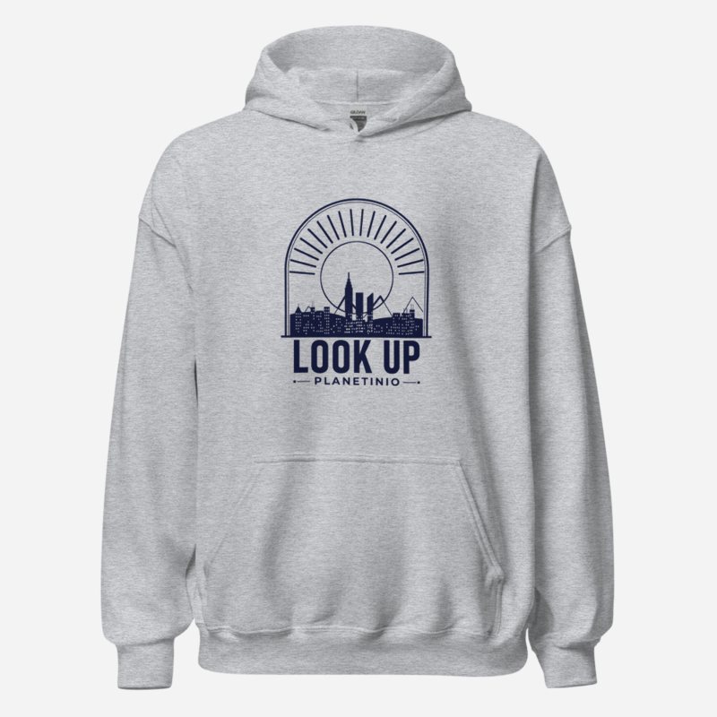 Planetinio Look Up Skyline Hoodie in Sport Grey